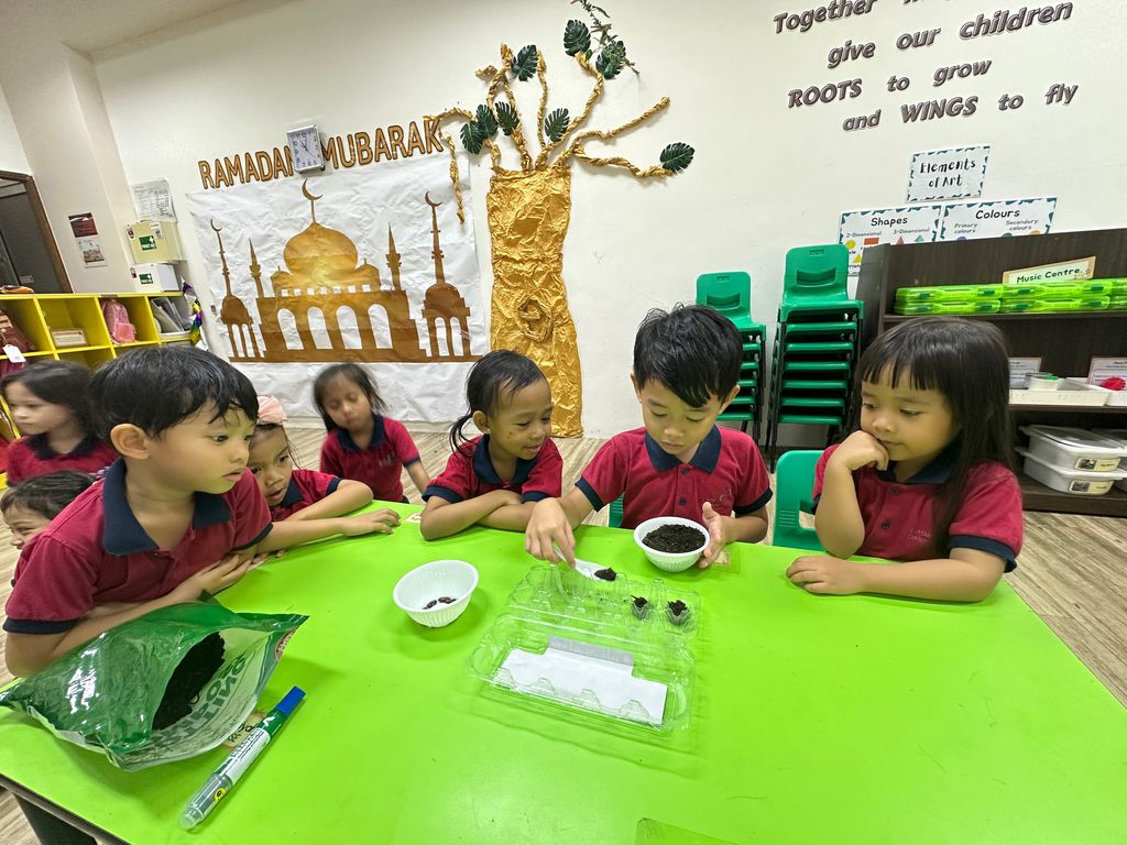 Growing our Plants Together! — photo 5