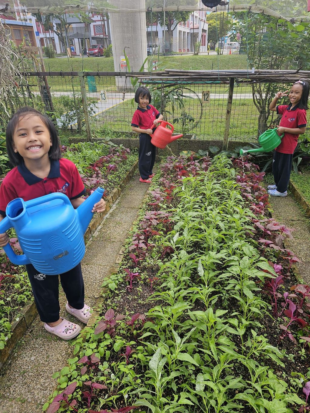 Growing our Plants Together! — photo 1