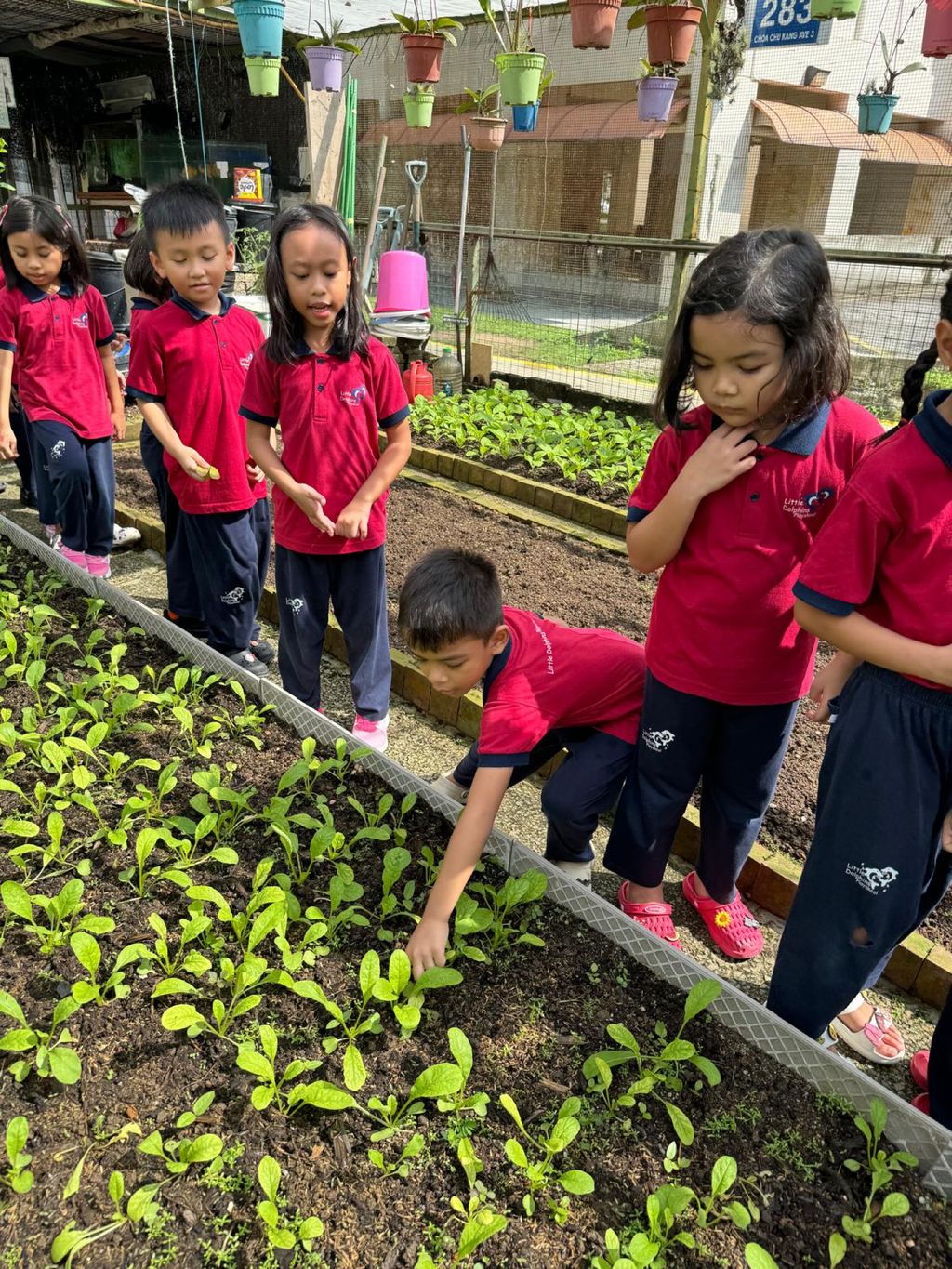 Growing our Plants Together! — photo 1