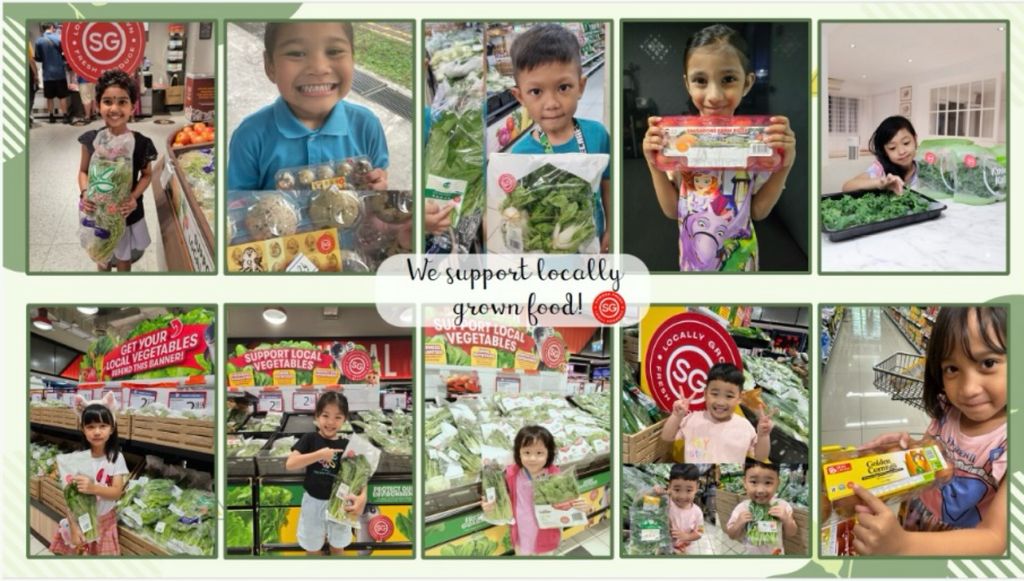 MK@JW Caring For Our Environment SSDB, 2024 — photo 4