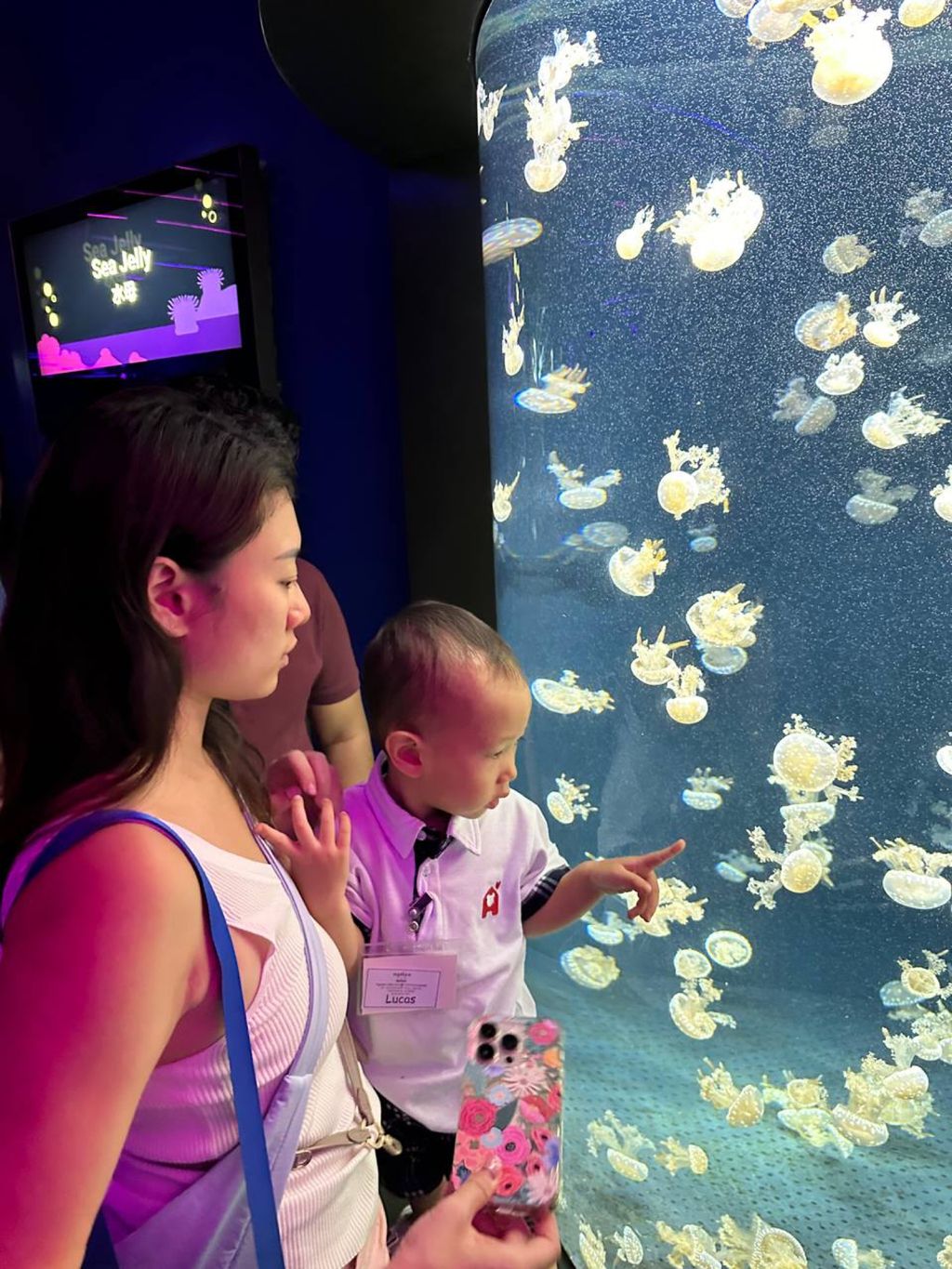 SSDB CHAPTER 2 - Marine conservationist! — photo 2