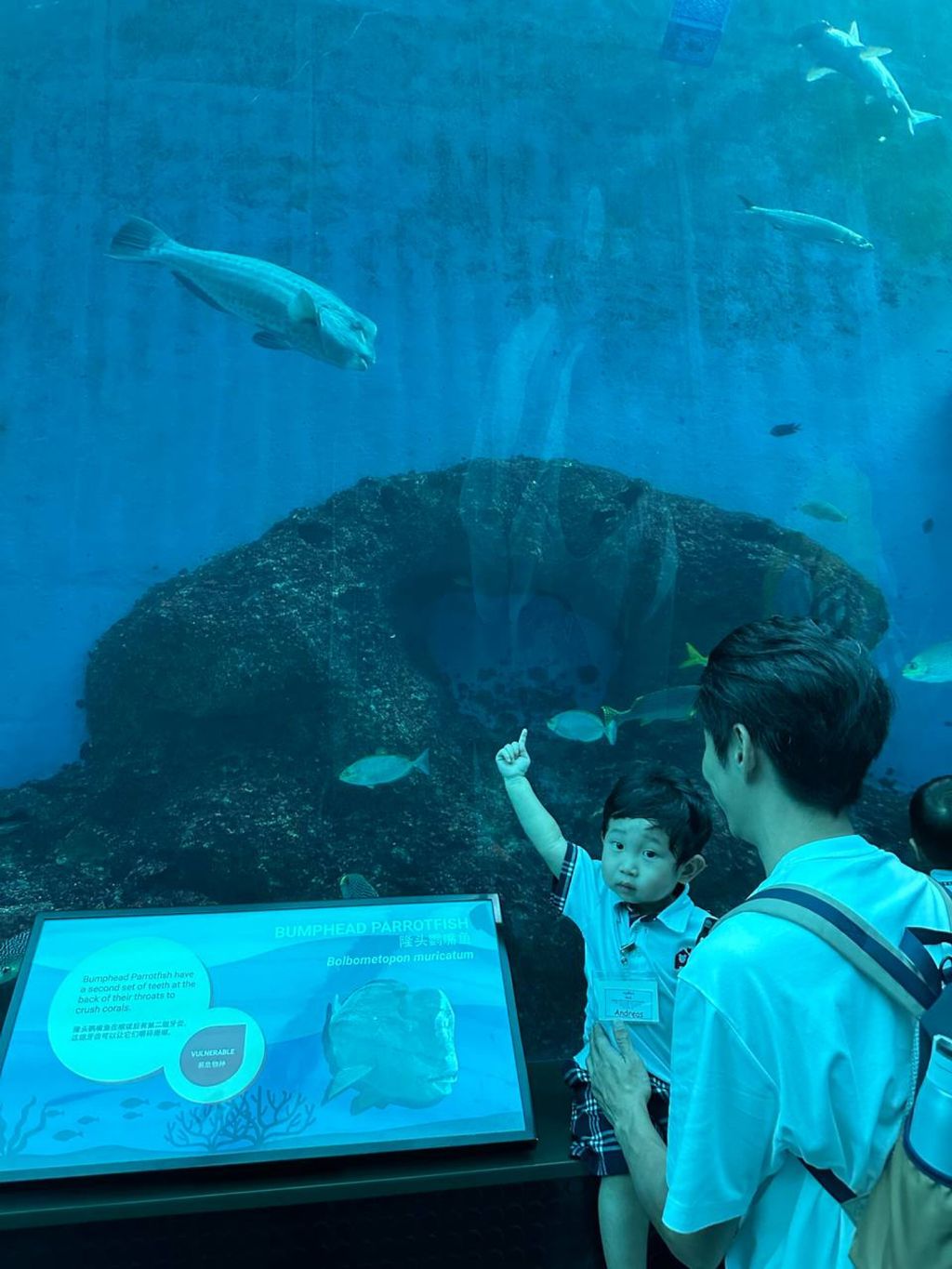 SSDB CHAPTER 2 - Marine conservationist! — photo 3