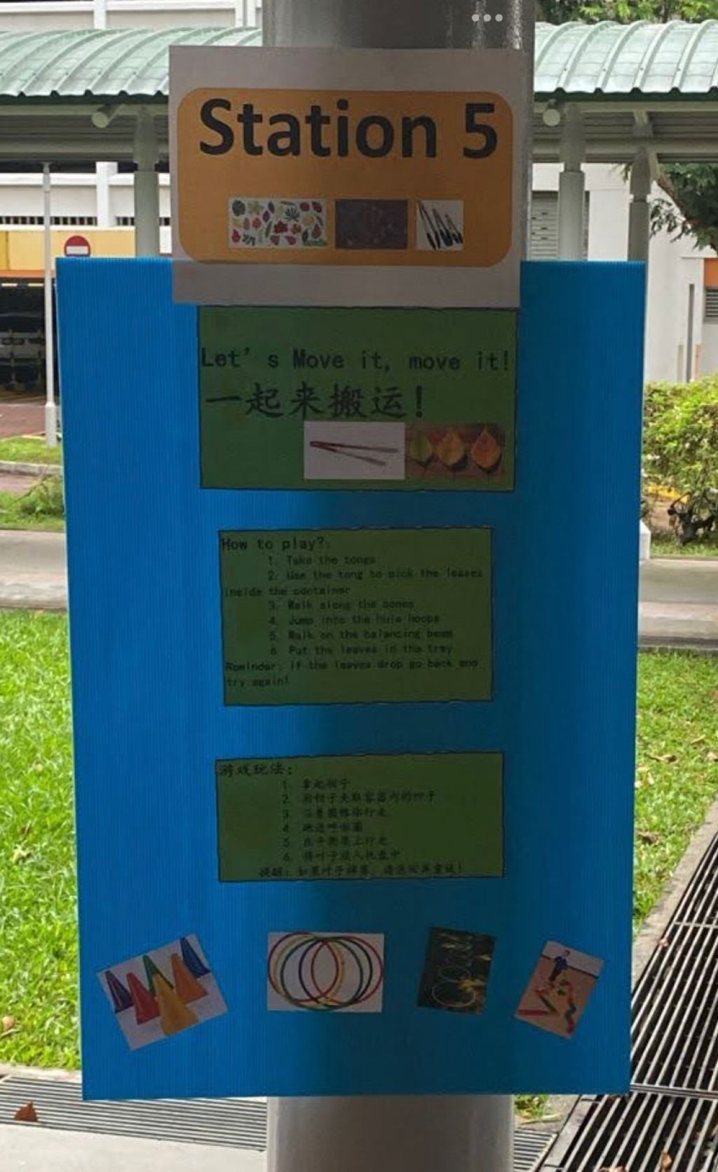 Wonders of Music with Greenery Launch — photo 13