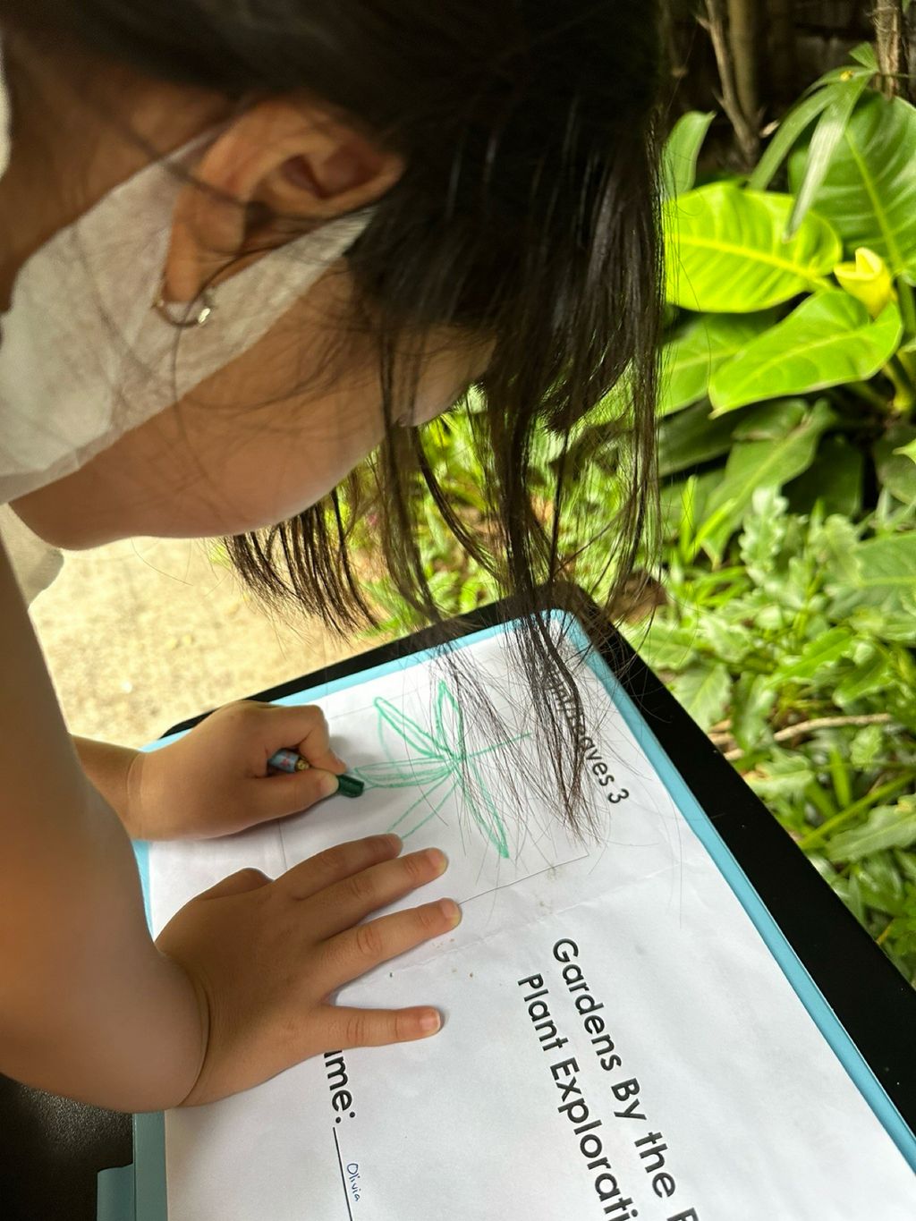 Leafy Discoveries at Gardens by the Bay and Sprouting Fun and Sustainable Eating — photo 4