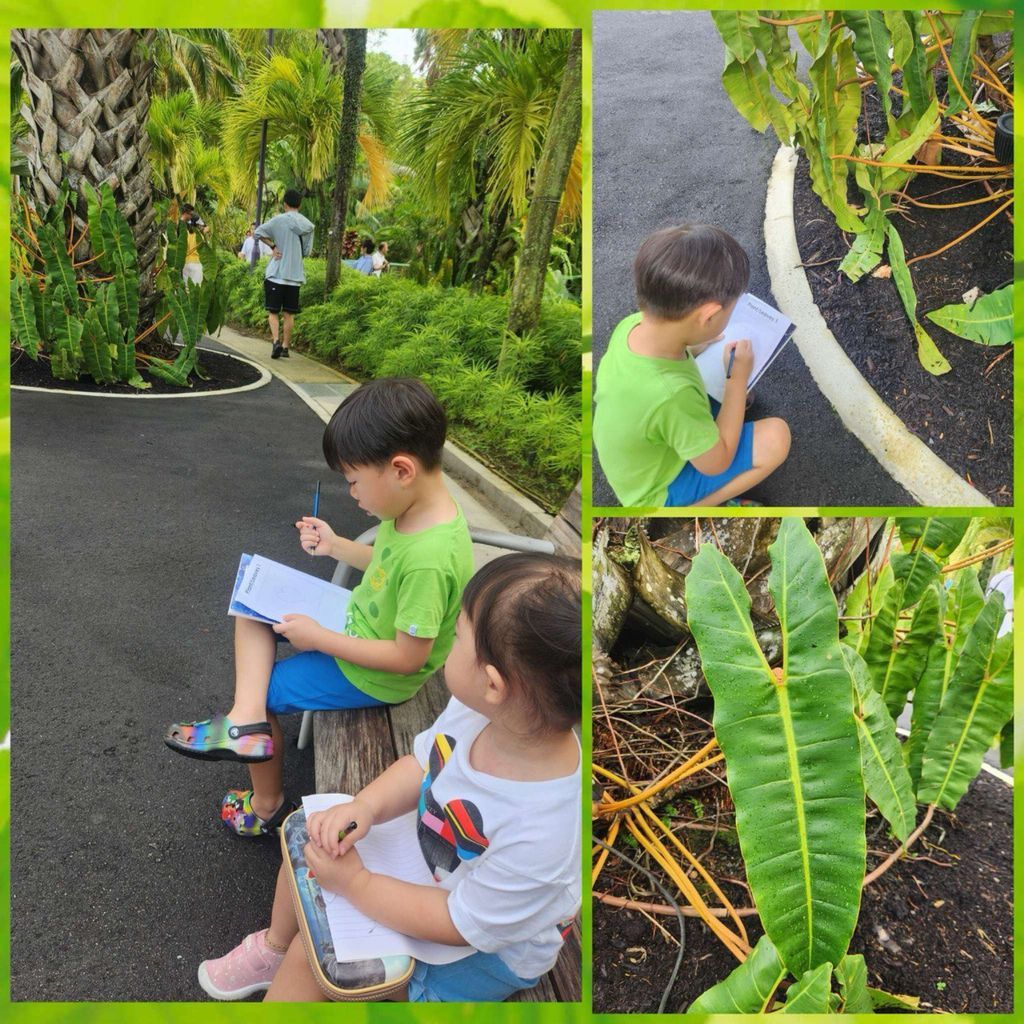 Leafy Discoveries at Gardens by the Bay and Sprouting Fun and Sustainable Eating — photo 5