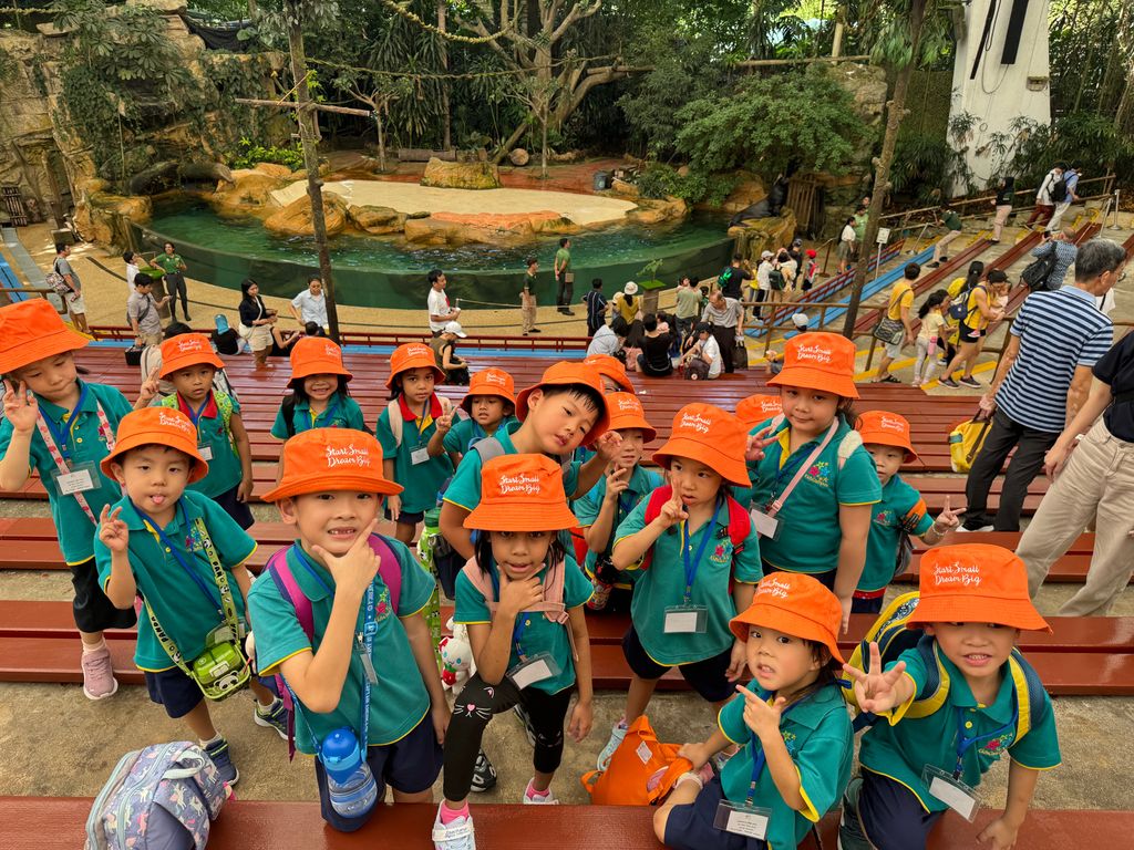 Splash Safari at Singapore Zoo 🦭💚🦧 (Finale)