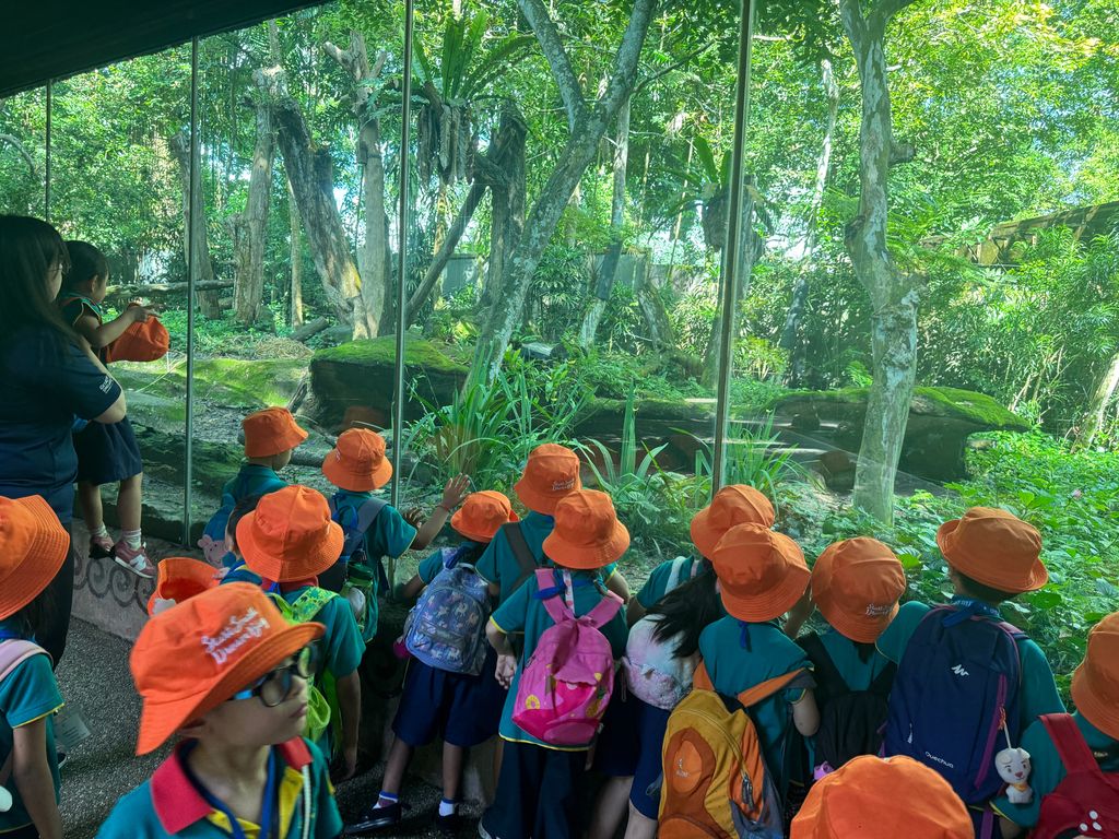 Splash Safari at Singapore Zoo π¦π𦧠(Finale) β photo 3