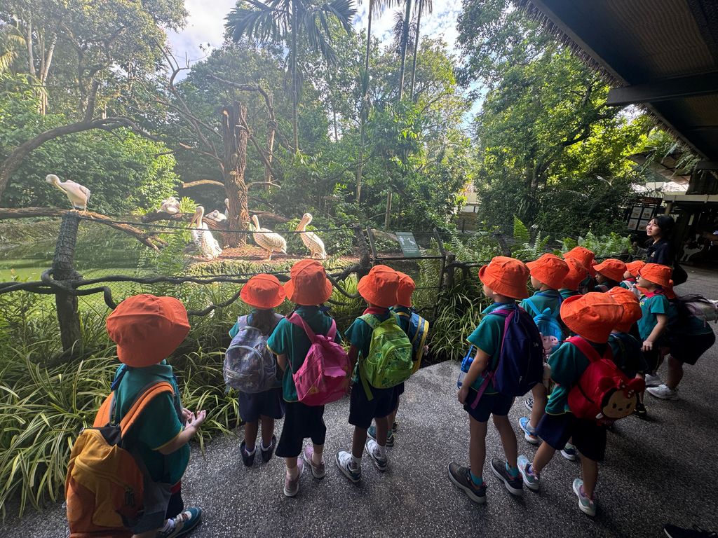Splash Safari at Singapore Zoo π¦π𦧠(Finale) β photo 4