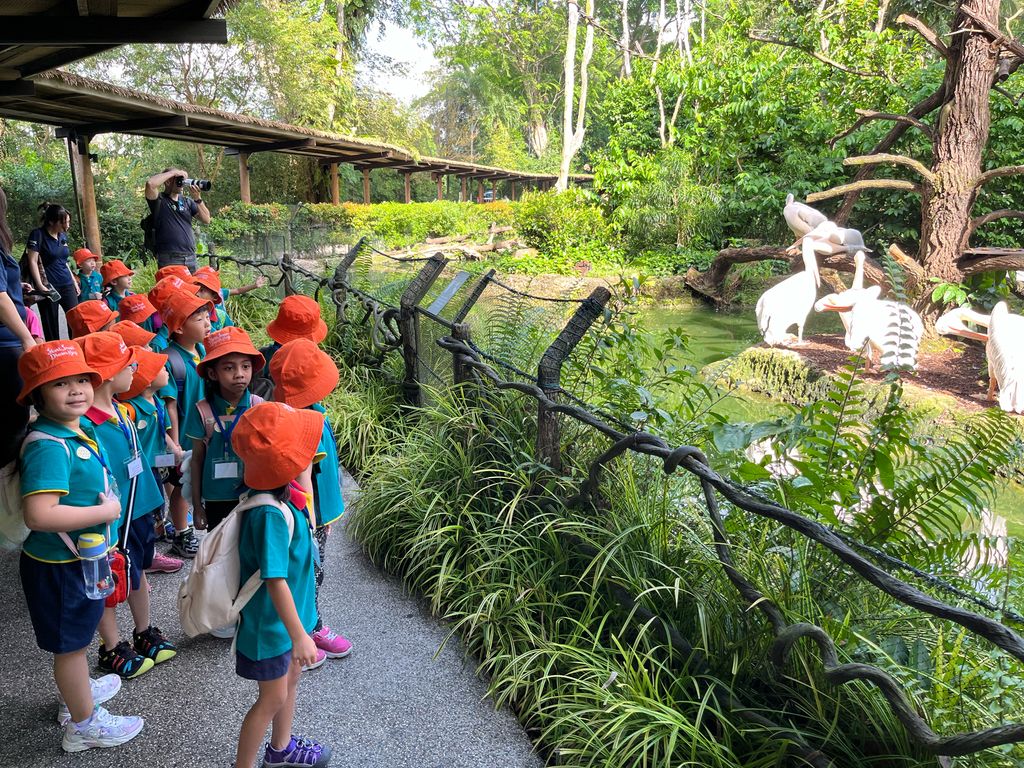 Splash Safari at Singapore Zoo π¦π𦧠(Finale) β photo 5