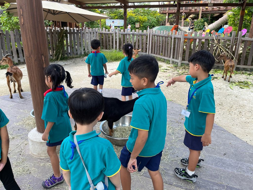 Splash Safari at Singapore Zoo π¦π𦧠(Finale) β photo 1