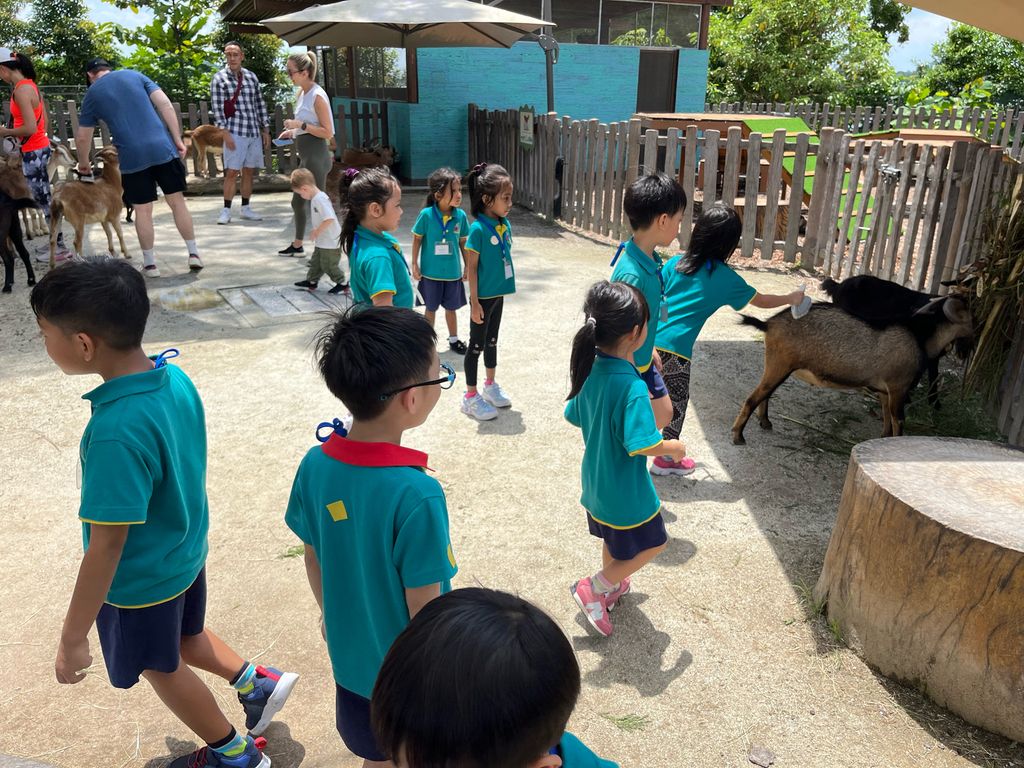 Splash Safari at Singapore Zoo π¦π𦧠(Finale) β photo 7