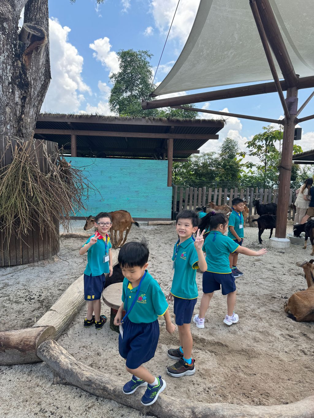 Splash Safari at Singapore Zoo π¦π𦧠(Finale) β photo 10