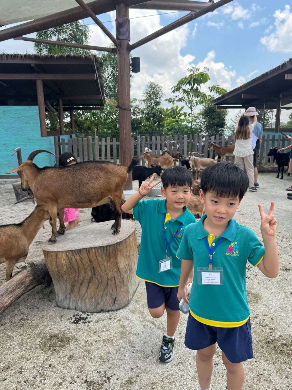 Splash Safari at Singapore Zoo π¦π𦧠(Finale) β photo 11