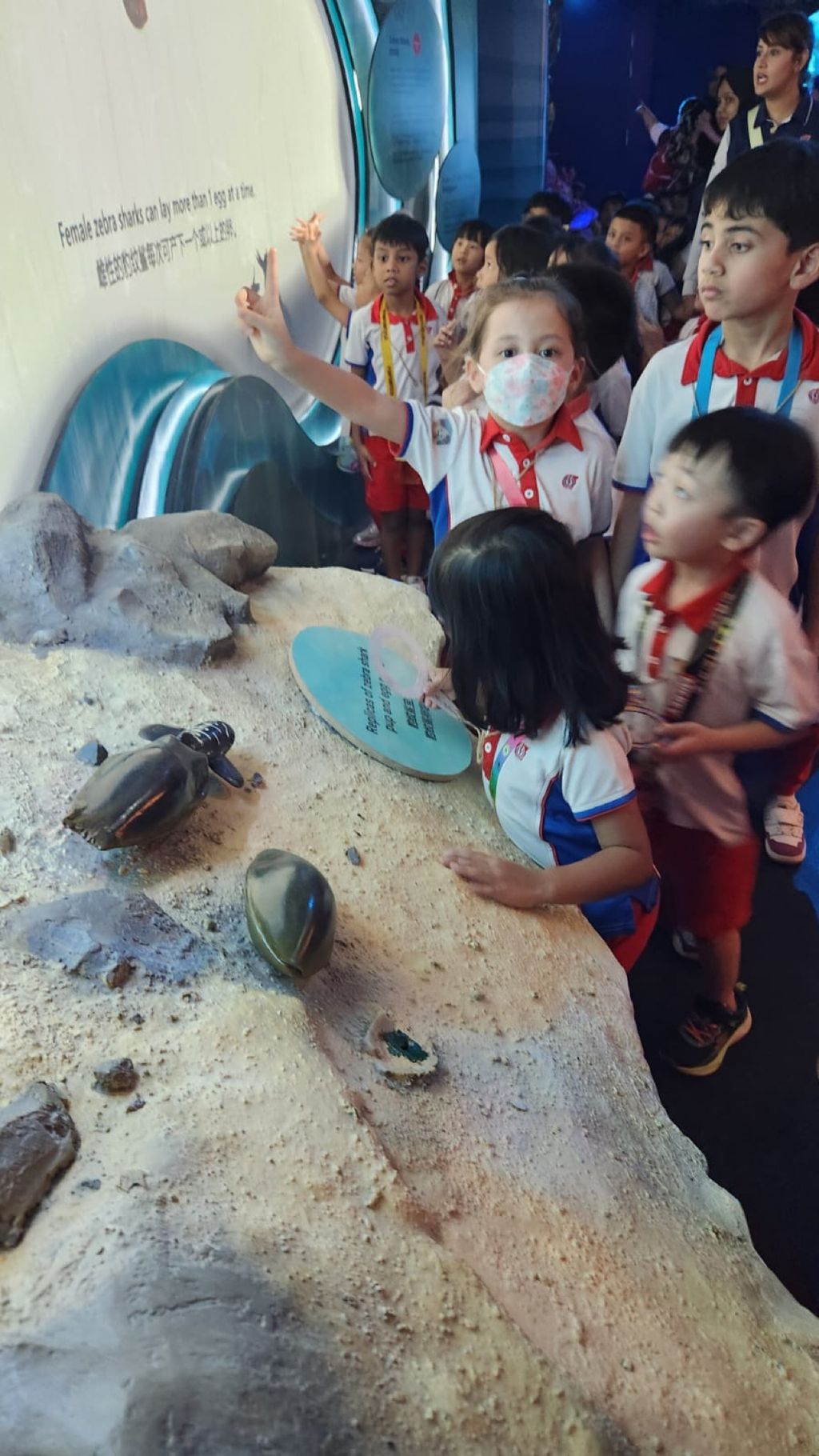 Waves of Change: Sparking Environmental Action in Our Preschool ✨ — photo 2