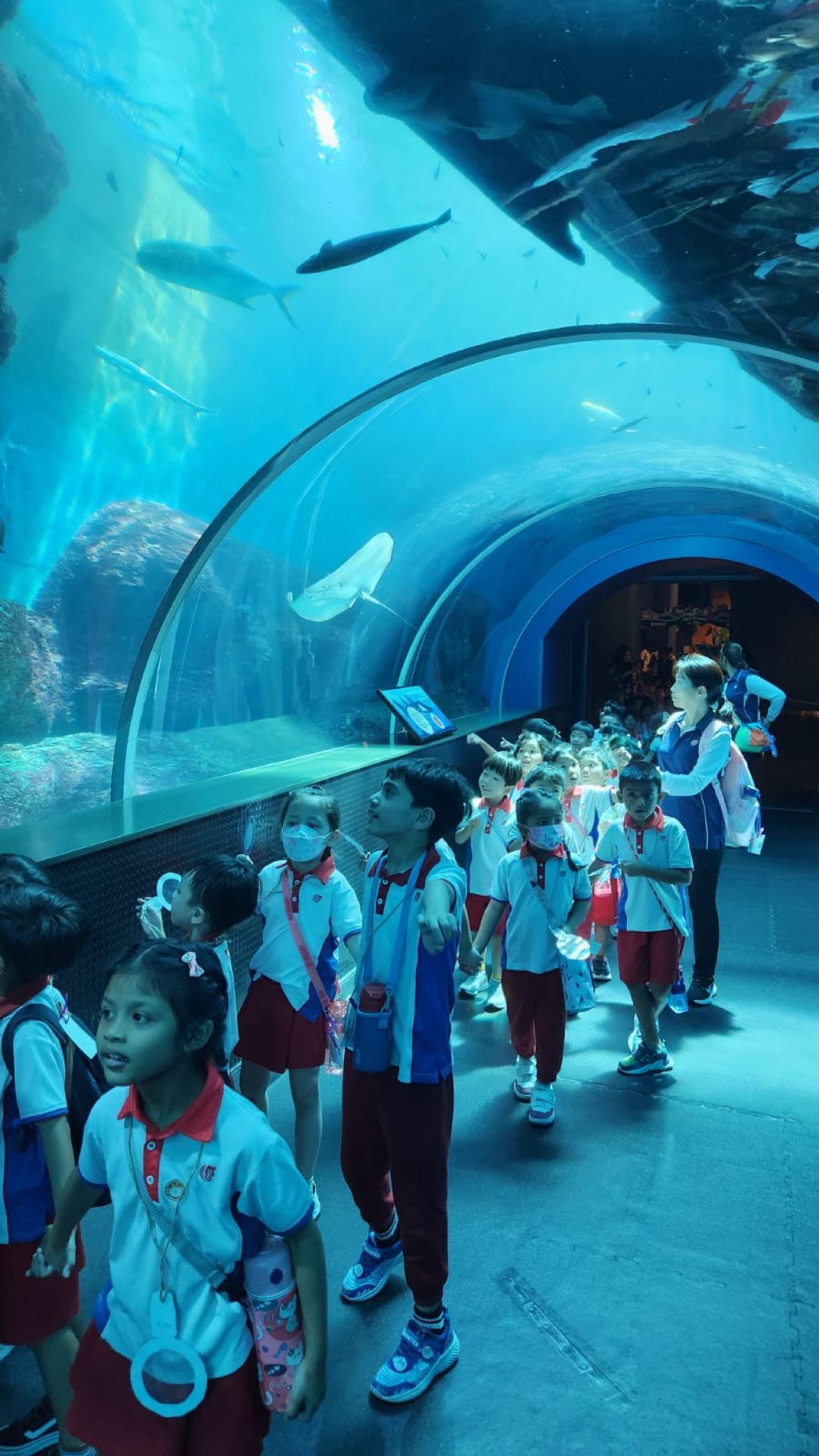 Waves of Change: Sparking Environmental Action in Our Preschool ✨ — photo 3