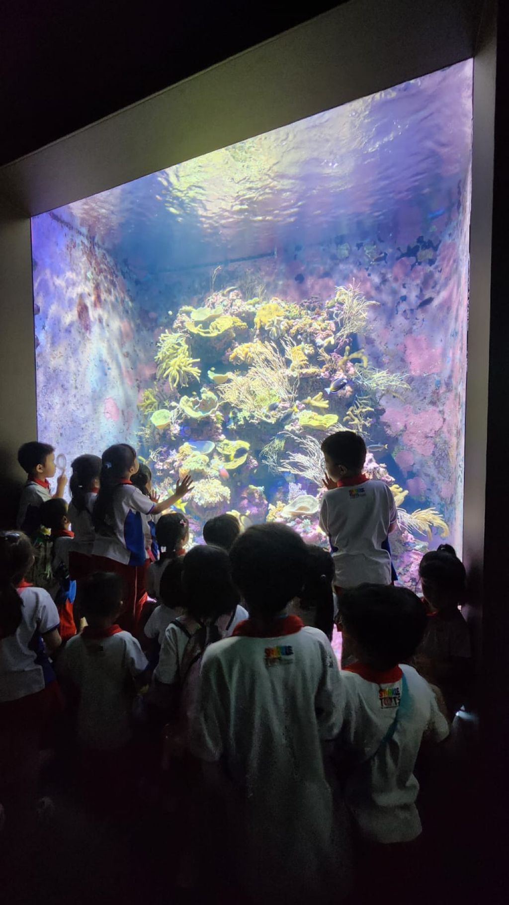 Waves of Change: Sparking Environmental Action in Our Preschool ✨ — photo 4
