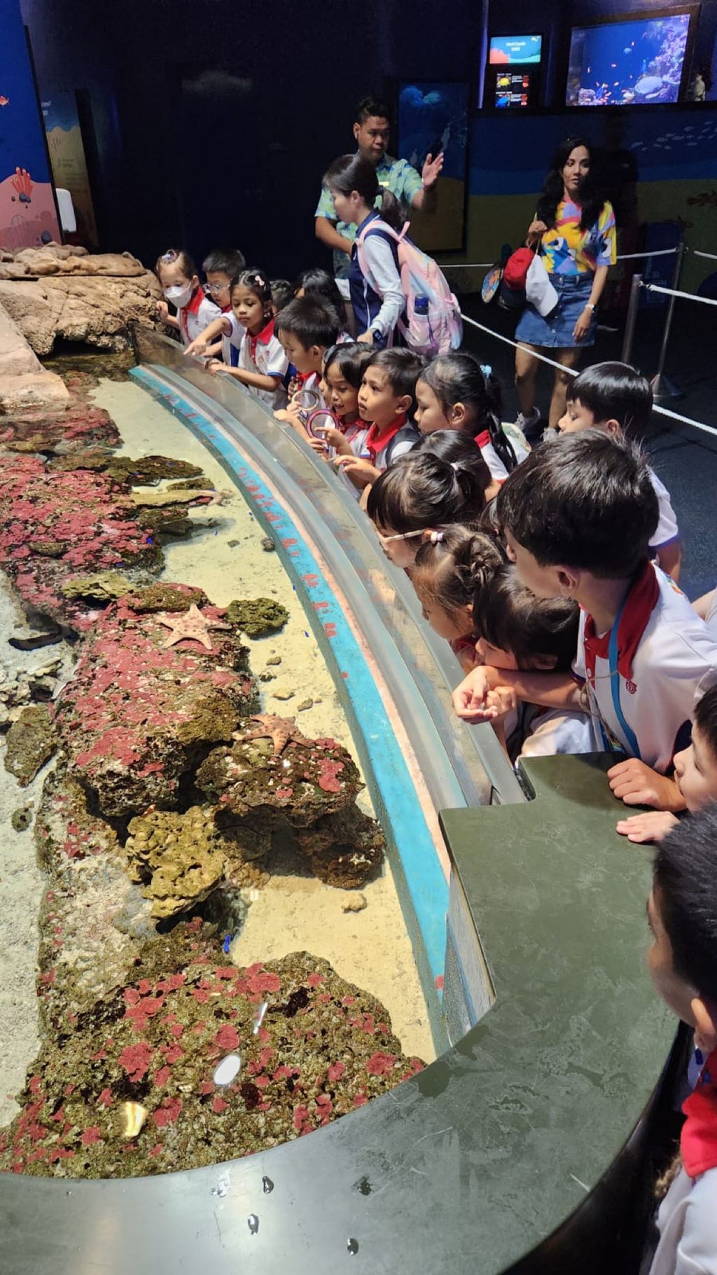 Waves of Change: Sparking Environmental Action in Our Preschool ✨ — photo 5