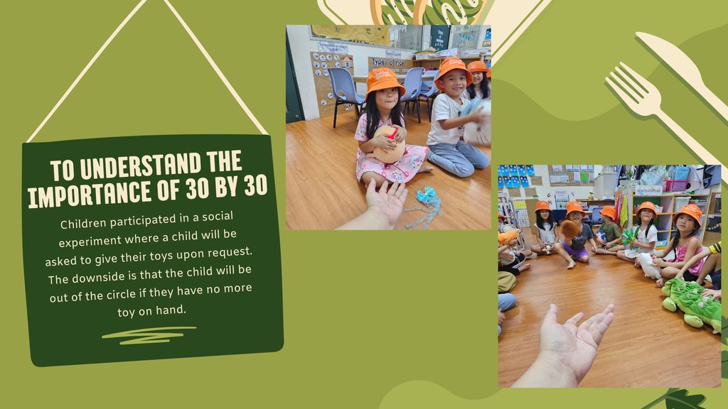 What is 30 by 30? — photo 3