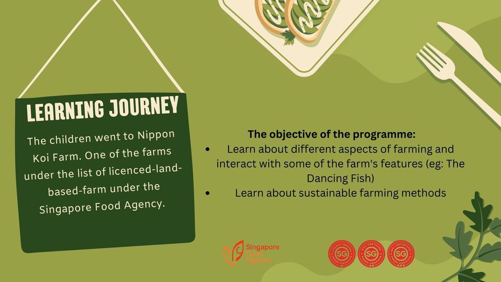 Zero Waste Challenge and Learning Journey to Nippon Koi Farm! — photo 3
