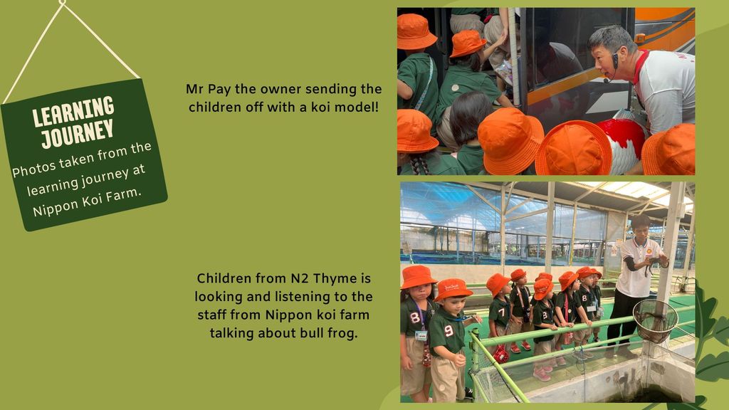 Zero Waste Challenge and Learning Journey to Nippon Koi Farm! — photo 7