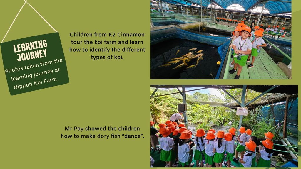 Zero Waste Challenge and Learning Journey to Nippon Koi Farm! — photo 8