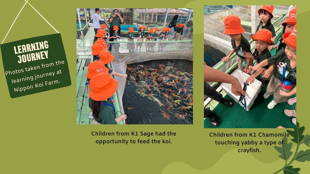 Zero Waste Challenge and Learning Journey to Nippon Koi Farm! — photo 9