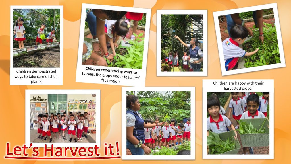 PCF SPARKLETOTS PRESCHOOL @ CANBERRA BLK 337 START SMALL DREAM BIG- "We Love Green, We Save Green We Use Green" [APRIL- SEPTEMBER 24] — photo 2
