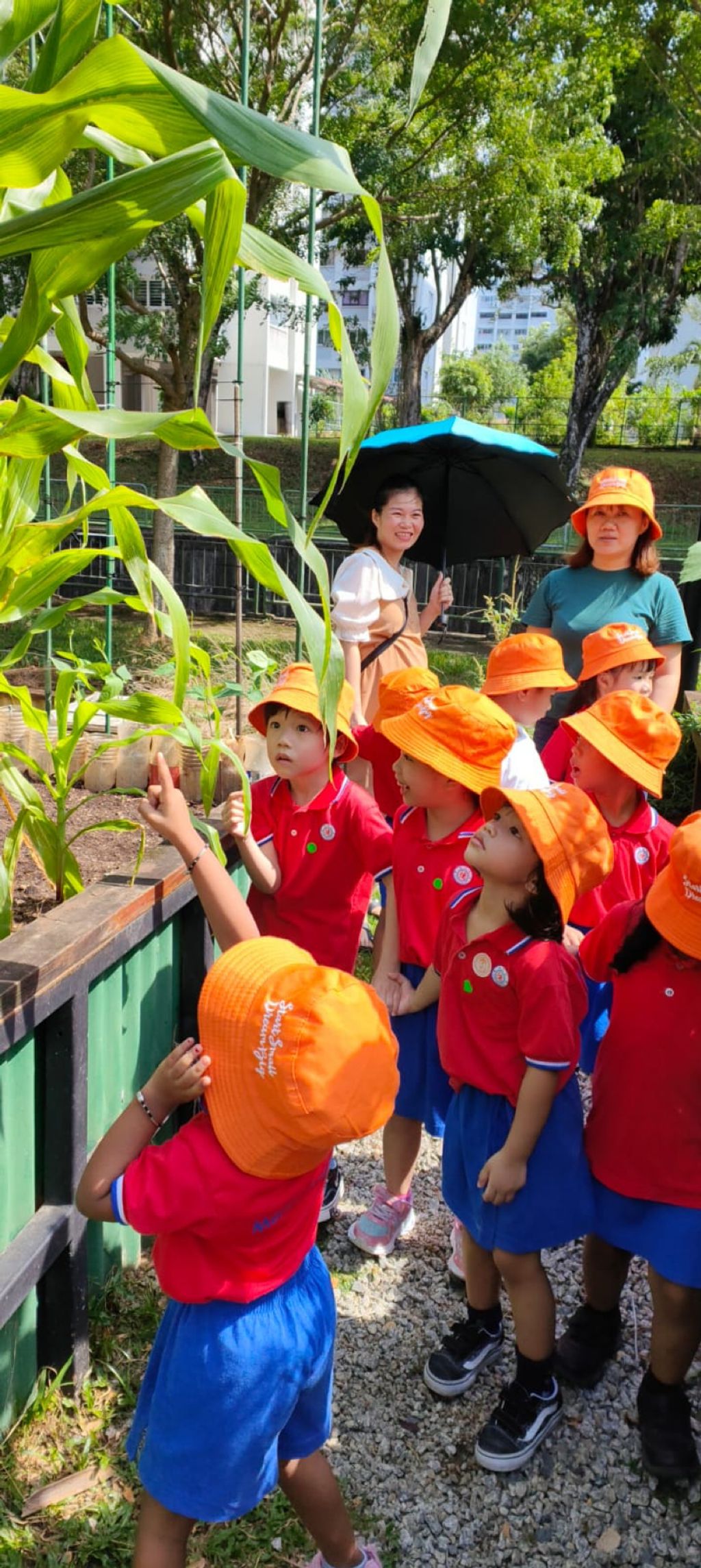Inculcate Kindness for the Environment, Animals and People, in Young Children. — photo 1
