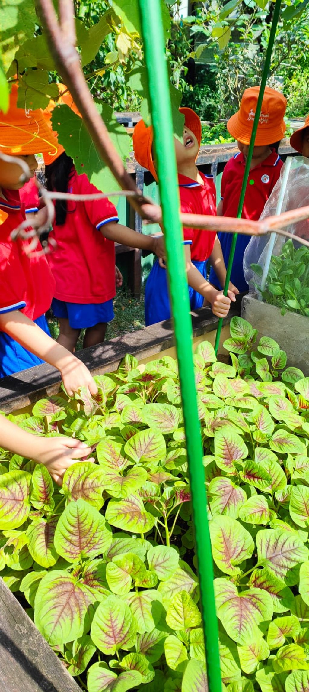 Inculcate Kindness for the Environment, Animals and People, in Young Children. — photo 4