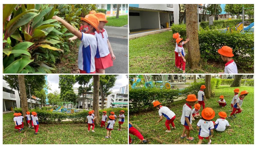 Lets Kick Start Wonders of Music with Greenery! — photo 2