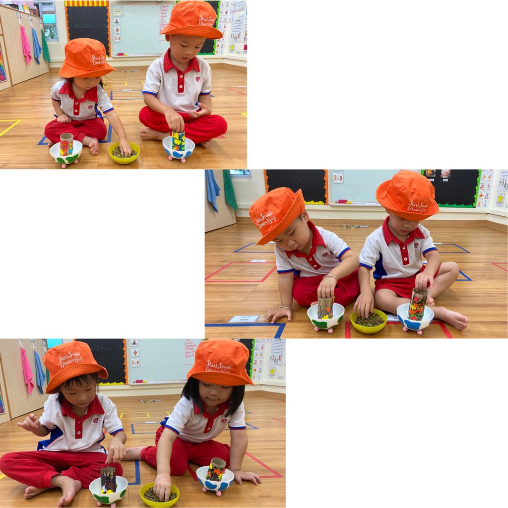 Lets Kick Start Wonders of Music with Greenery! — photo 1