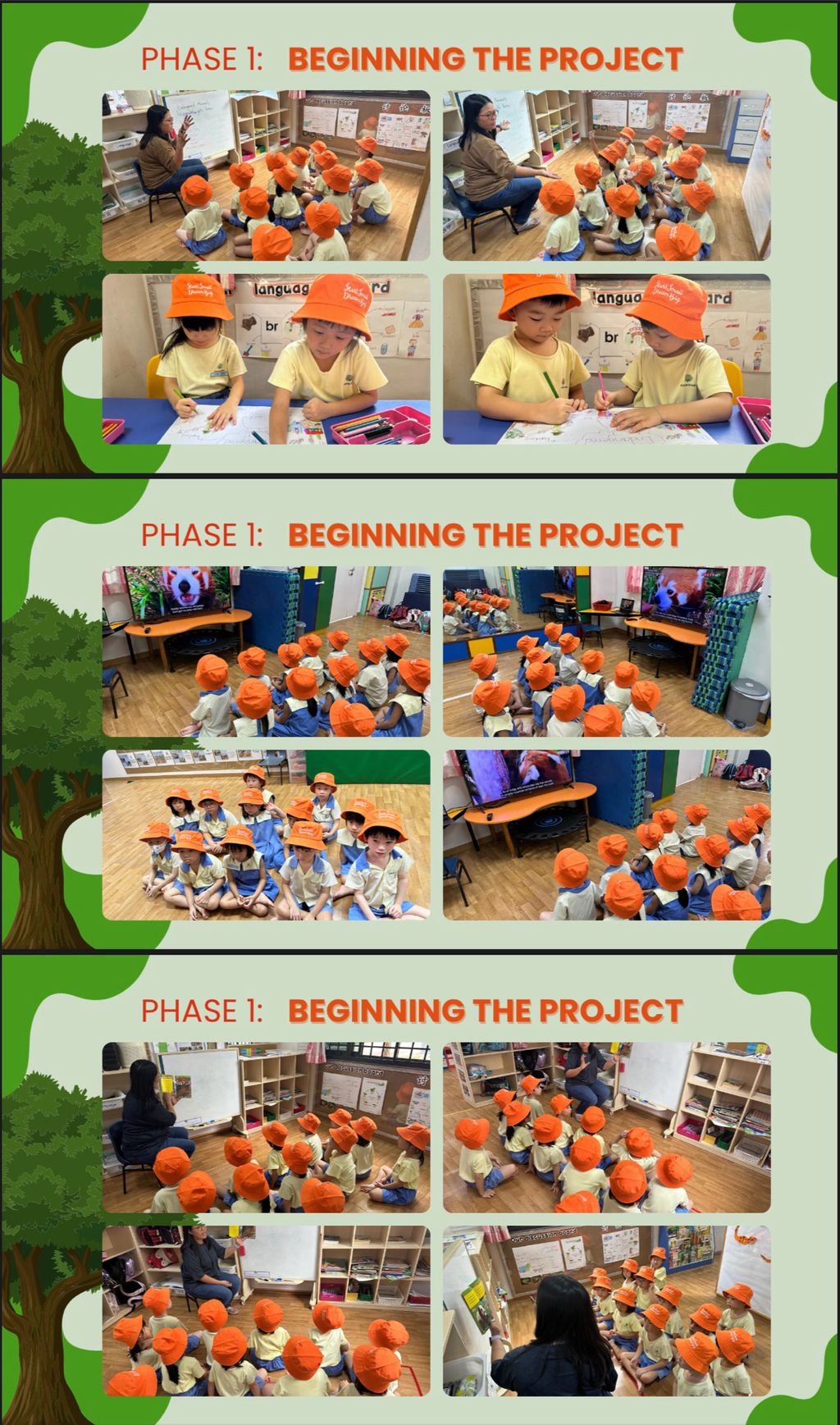 Protecting our wildlife and their homes SSDB 2024 K1 CDYH — photo 2