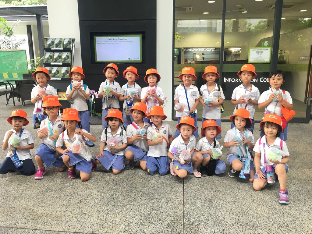 Environmental Crusaders in Action!