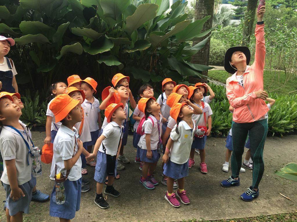 Environmental Crusaders in Action! — photo 1