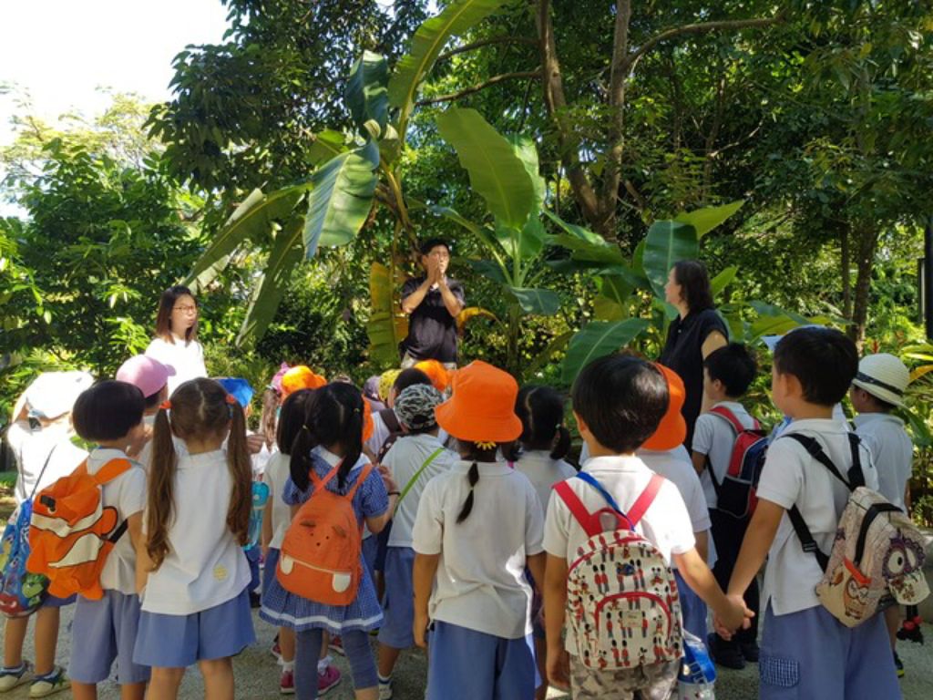 Environmental Crusaders in Action! — photo 2