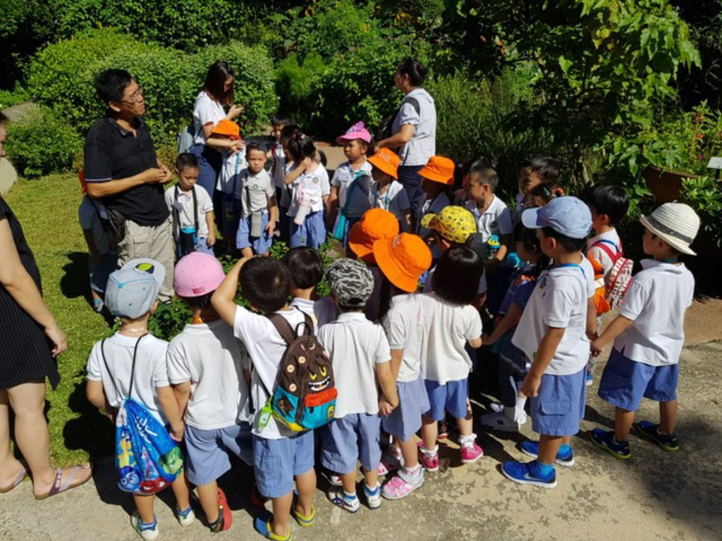 Environmental Crusaders in Action! — photo 3