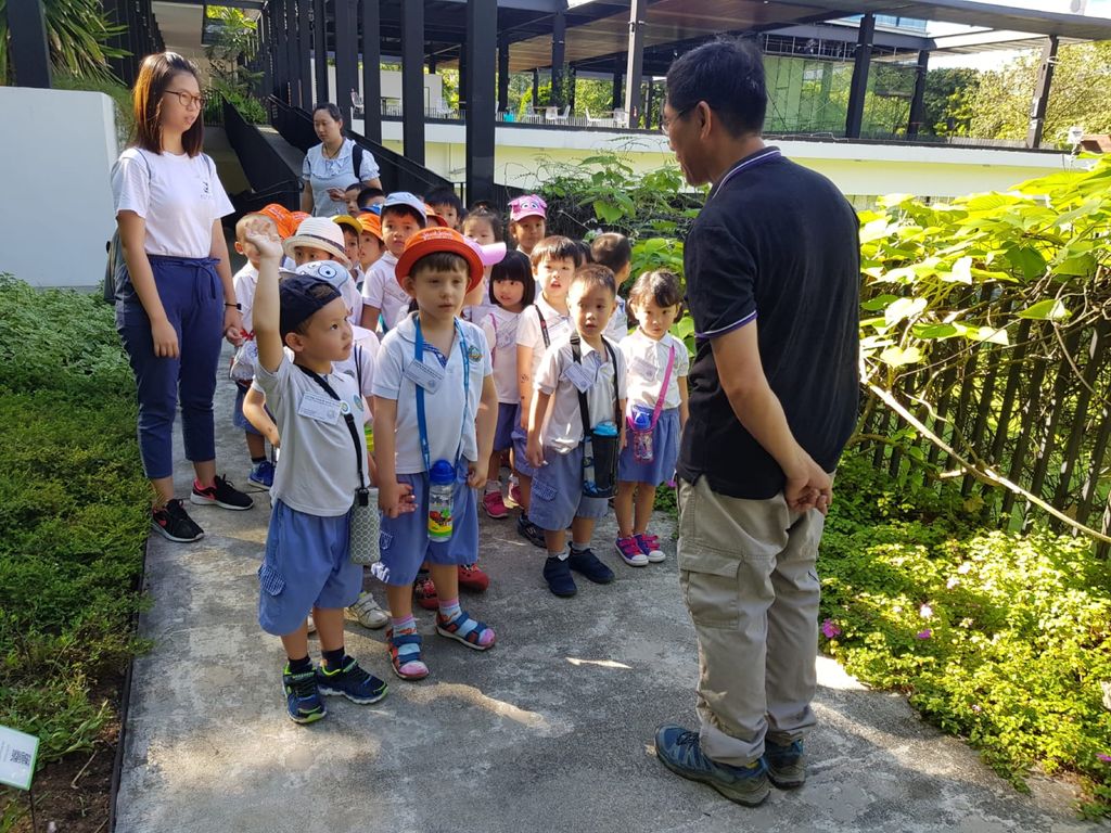 Environmental Crusaders in Action! — photo 4