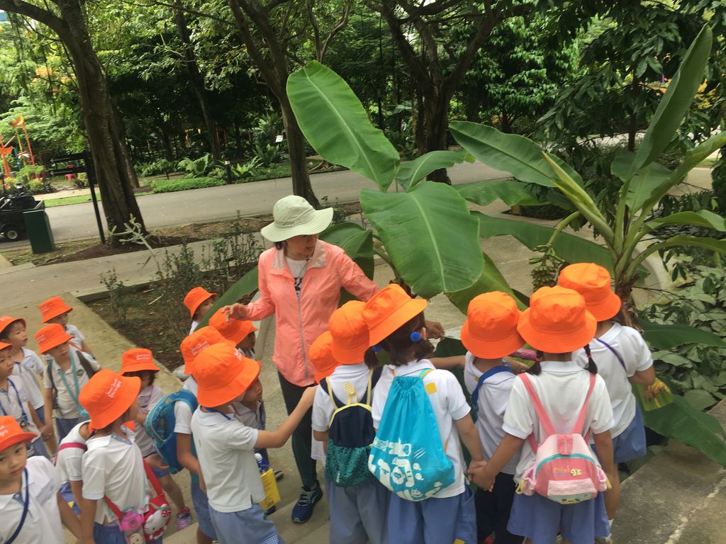 Environmental Crusaders in Action! — photo 5