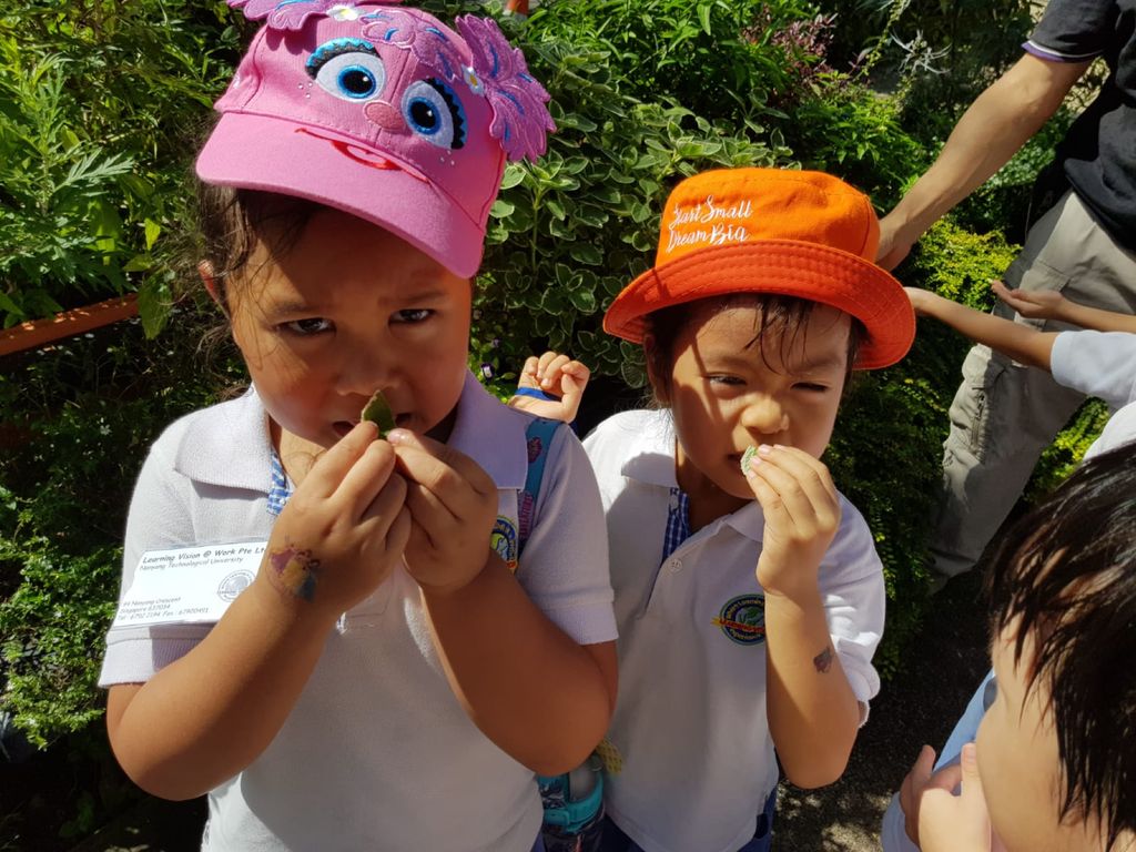 Environmental Crusaders in Action! — photo 1