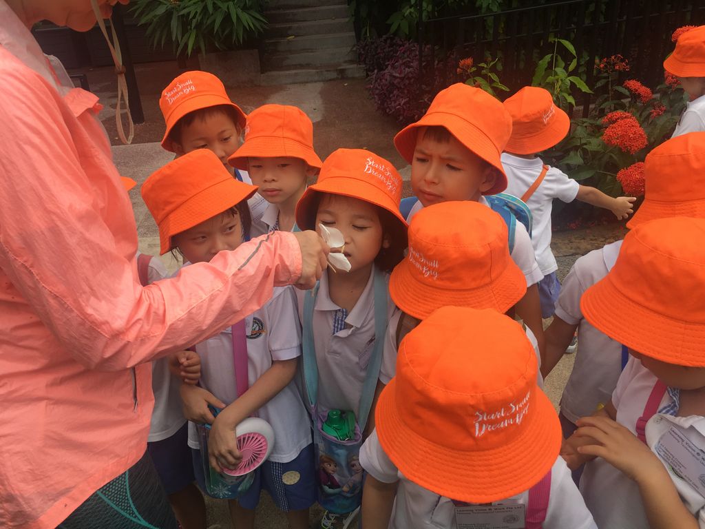 Environmental Crusaders in Action! — photo 2