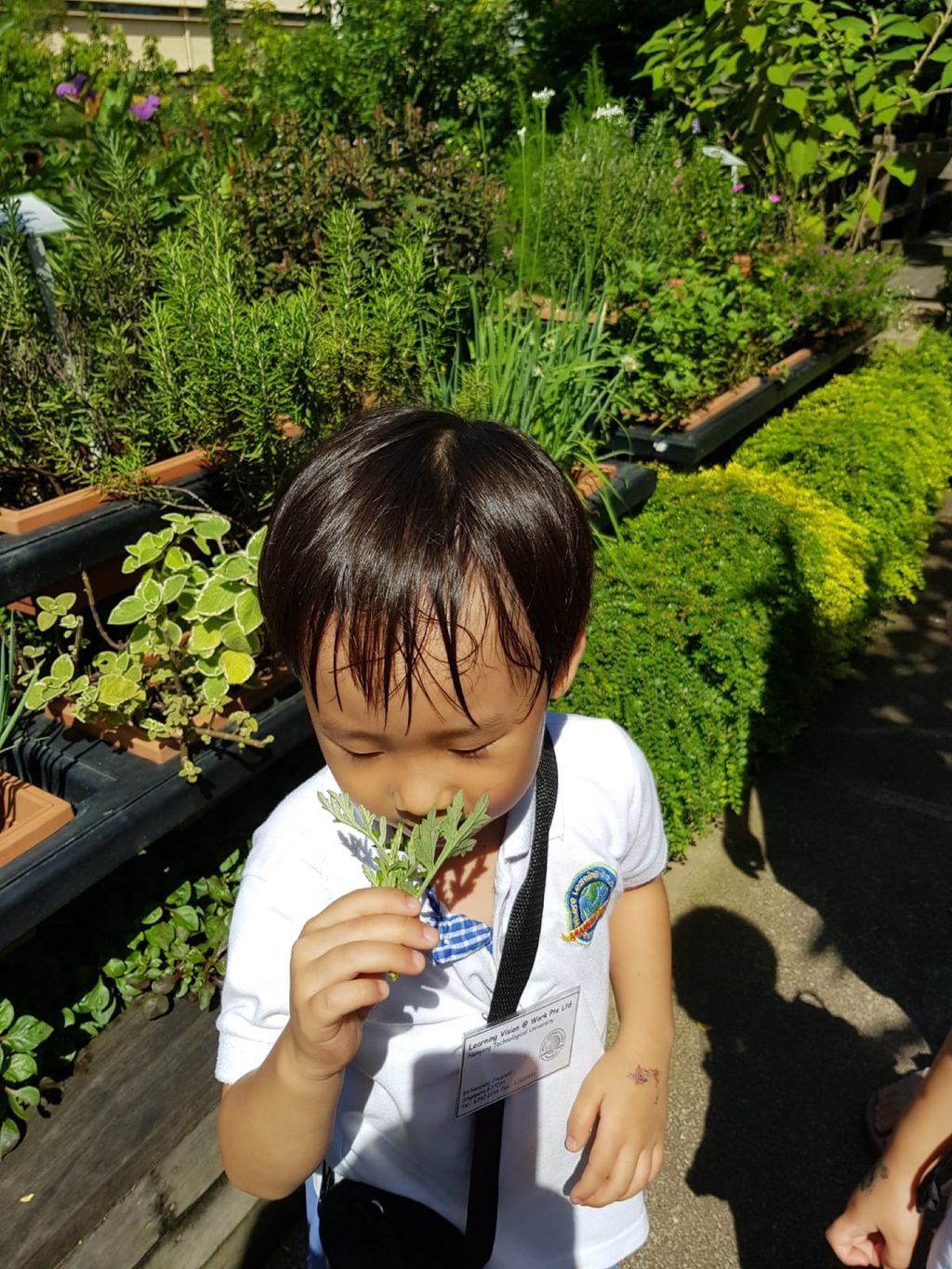 Environmental Crusaders in Action! — photo 3