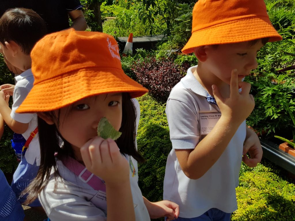 Environmental Crusaders in Action! — photo 5
