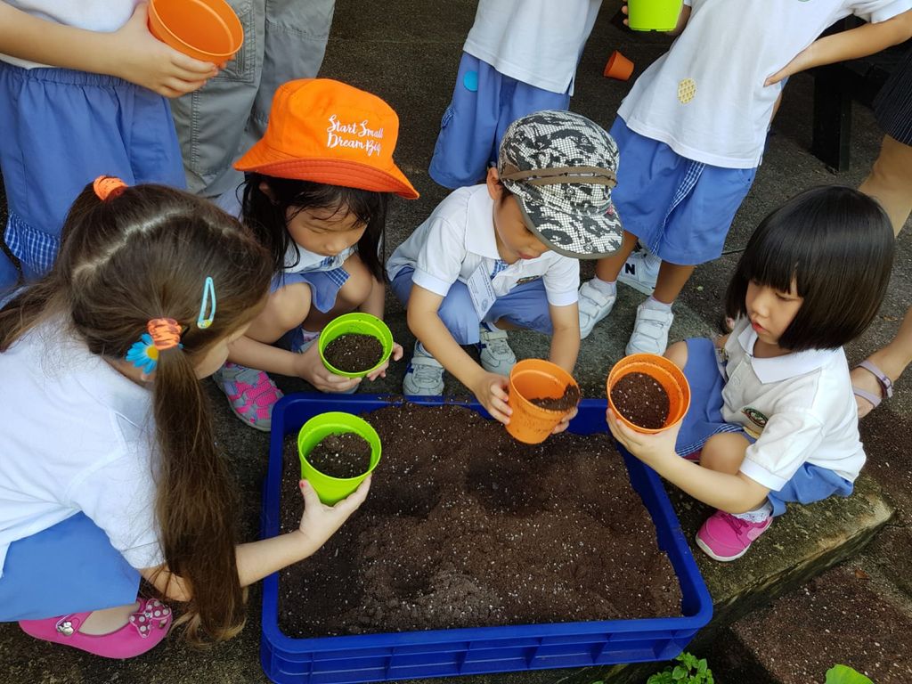 Environmental Crusaders in Action! — photo 1