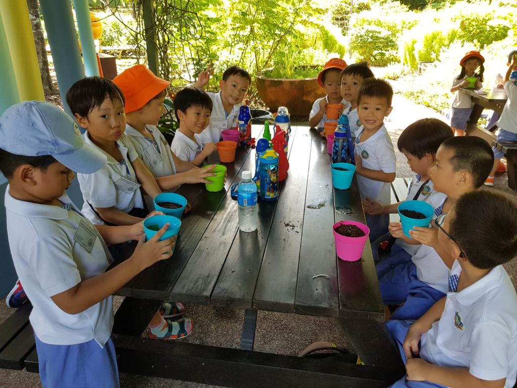 Environmental Crusaders in Action! — photo 2