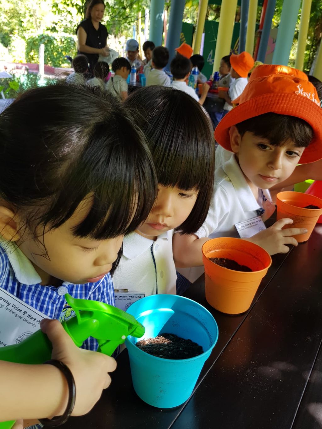 Environmental Crusaders in Action! — photo 3