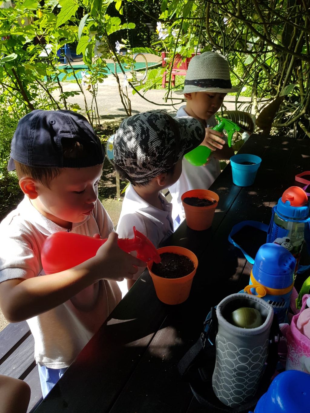 Environmental Crusaders in Action! — photo 4