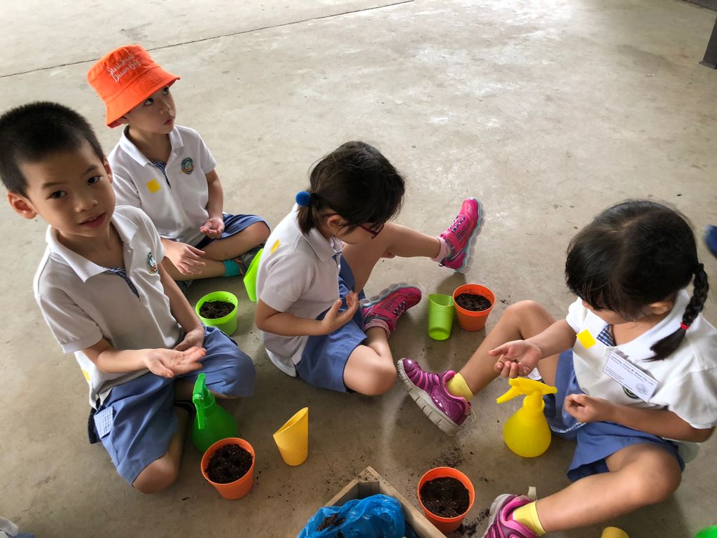 Environmental Crusaders in Action! — photo 5