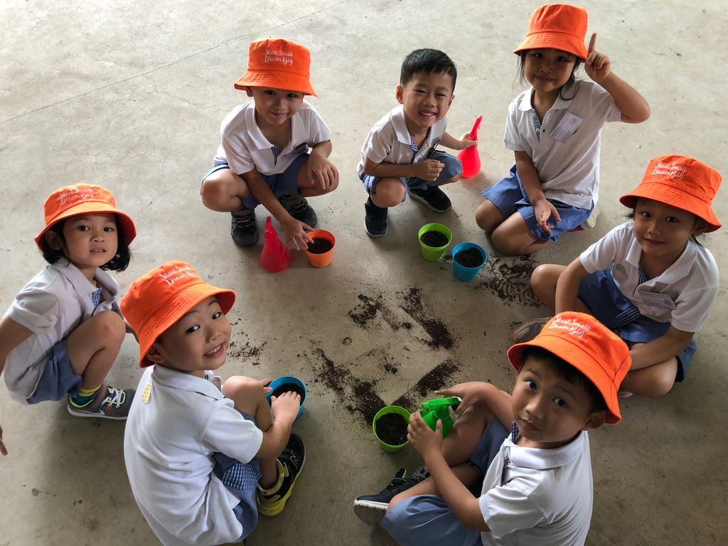 Environmental Crusaders in Action! — photo 6