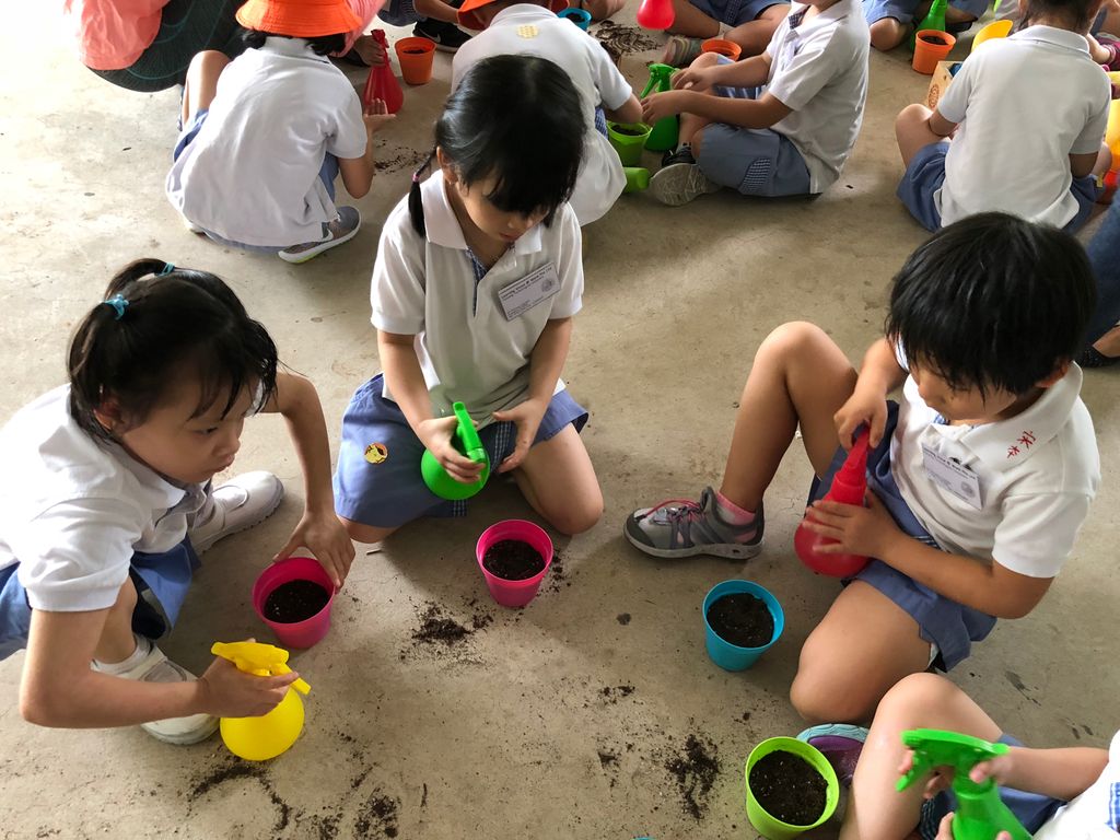 Environmental Crusaders in Action! — photo 7