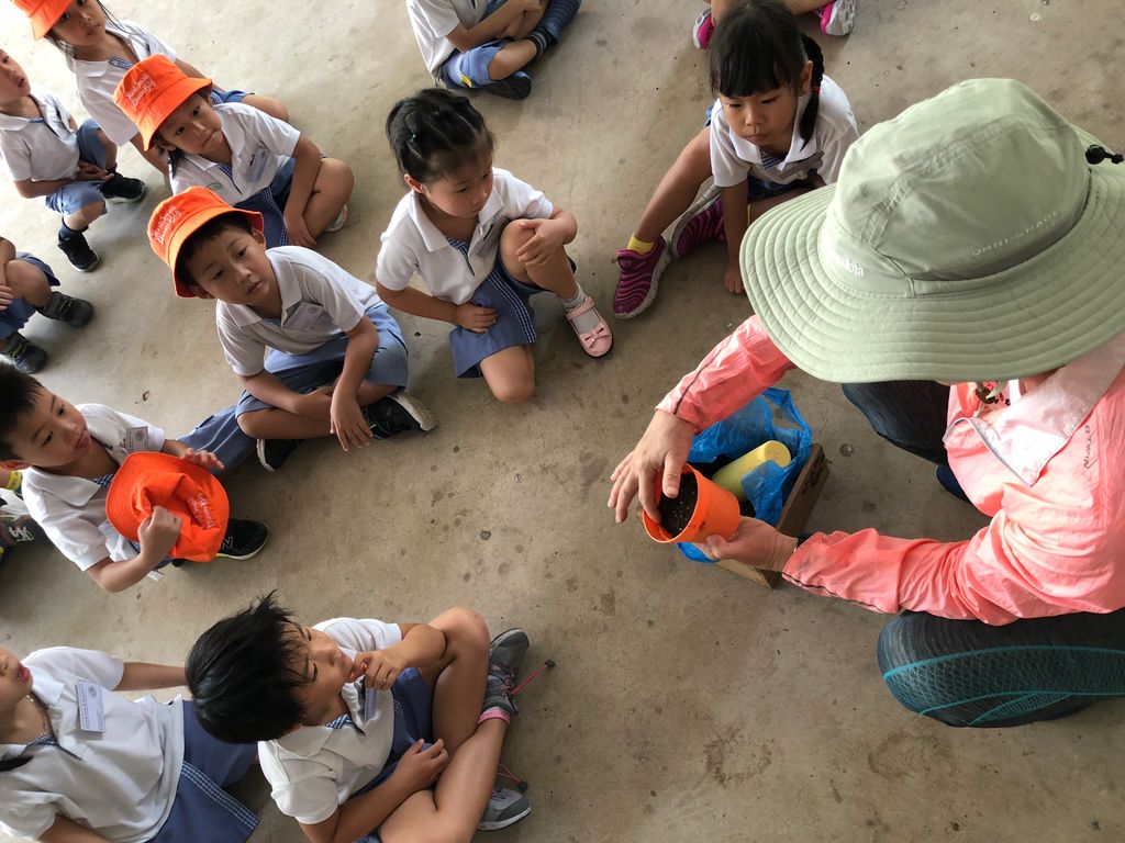 Environmental Crusaders in Action! — photo 8